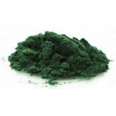 Spiruline - Spirulina plantensis - Poudre - Poudres de plantes médicinales en vrac - 1-Spiruline Poudre