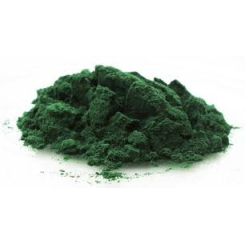 Spirulina - Spirulina plantensis - Pulver - Heilpflanzenpulver lose - 1