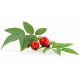 Tisane cynorrhodon Bio - FrC - Plantes médicinales en vrac - Tisanes de plantes simples - 2