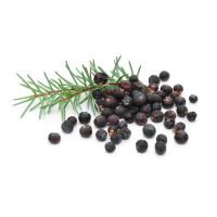 Genévrier - Juniperus communis - Baie Bio - Epices en vrac, aromates et condiments - 1-Genévrier - Juniperus communis - Baie Bio