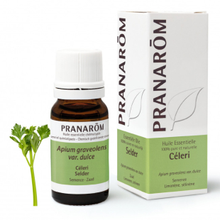 Huile Essentielle - Céleri 10 ml - Pranarôm - 1 - Herboristerie du Valmont Huile Essentielle - Céleri 10 ml - Pranarôm - 1 - Herboristerie du Valmont