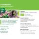 Teinture-mère Passiflore Bio - Passiflora incarnata 50 ml - Ladrôme
