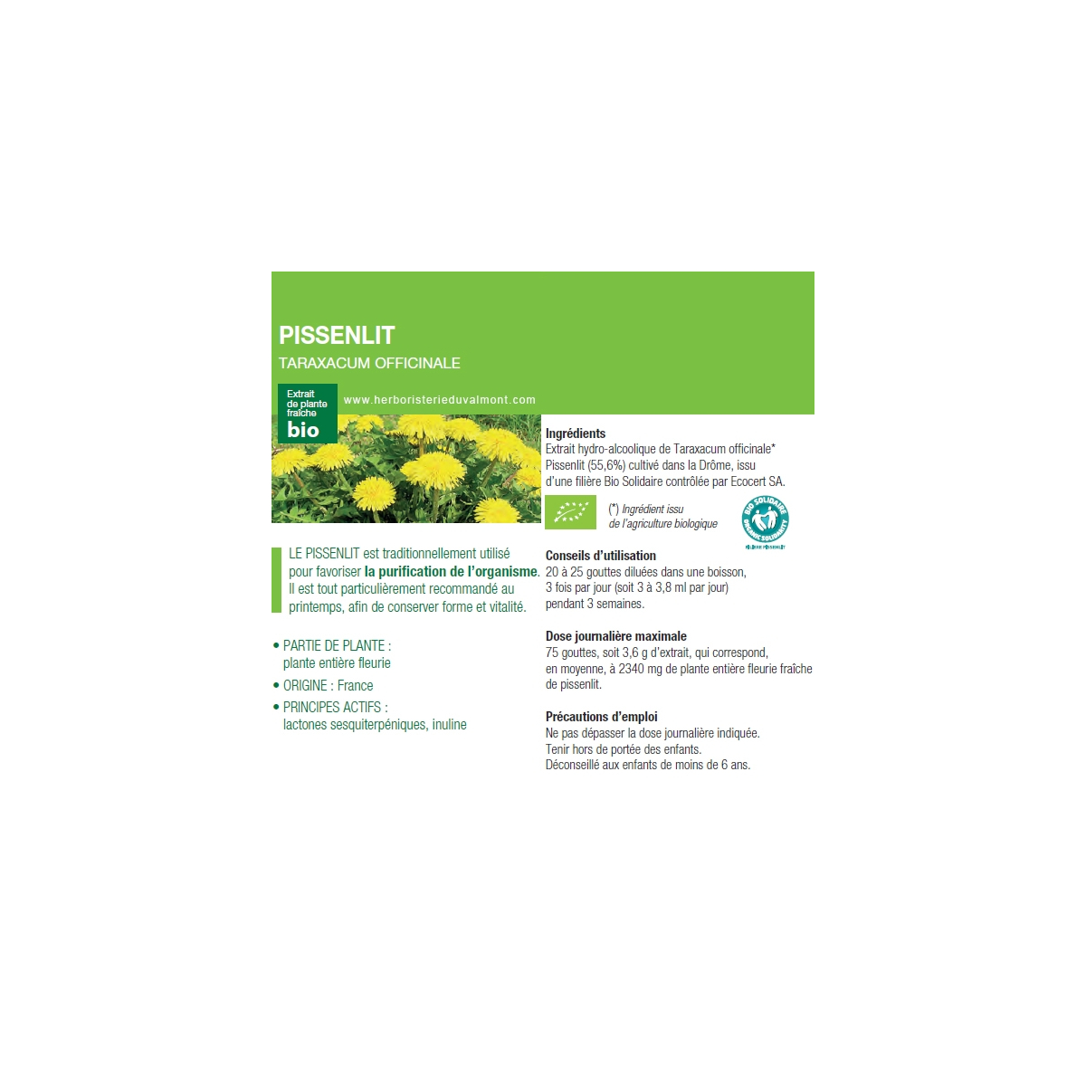 Het Gebied Van De Zomer De Lentebloemen Van De Paardebloem Field De Zaden Pluizige Paardebloembloem Image147599369