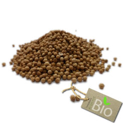 Koriander - Coriandrum sativum - Biologische hele zaden - Bulk kruiden, specerijen en specerijen - 1