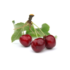 Cherry Tail Kräutertee - Lose Heilpflanzen - Einzelne Kräutertees - 3