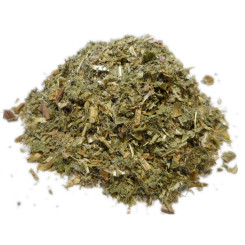 Infusion de Chardon Béni Bio - PC