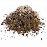 Chêne - Tisane Quercus robur - Ecorce coupée Bio - Plantes médicinales en vrac - Tisanes de plantes simples - 1-Chêne - Tisane Quercus robur - Ecorce coupée Bio