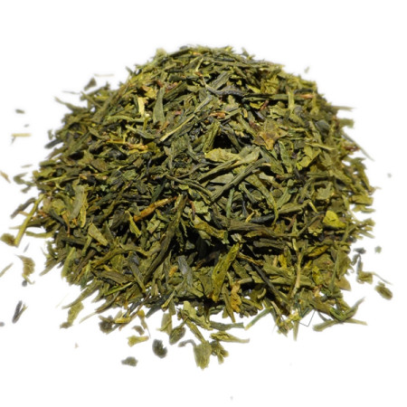 Thé vert Sencha Bio - Camelia sinesis - Feuille - Thés & Tisanes - 1