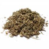 Infusion d'Armoise commune Bio - PC-Tisane Armoise commune Artemisia Bio - Plante coupée