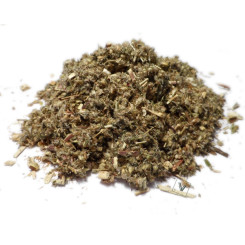 Infusion d'Armoise commune Bio - PC