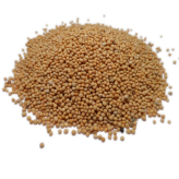 Witte mosterd - Sinapsis alba - Biologische hele zaden -