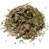 Infusion d'Olivier Bio - FC-Tisane Olivier Bio - Feuille coupée