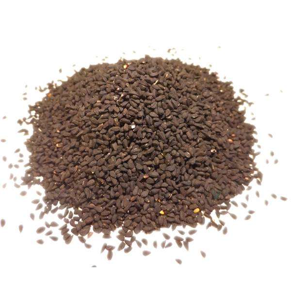 Nigelle (Cumin noir) - Nigella sativa - Fruit Bio - 1 - Herboristerie du Valmont