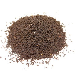 Nigelle (Cumin noir) Bio
