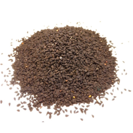 Nigelle (Cumin noir) - Nigella sativa - Fruit Bio - Plantes médicinales en vrac - Tisanes de plantes simples - 1