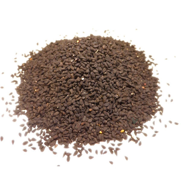 Tisane de Nigelle (Cumin noir) Bio - Nigella sativa - Fruit en Vrac 100g