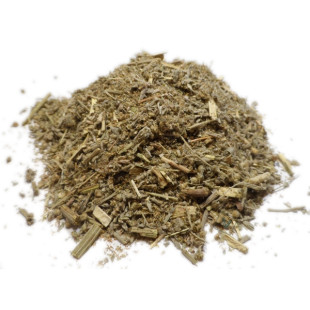 Absinthe -  Artemisia absinthium - Plante coupée Bio - 1 - Herboristerie du Valmont