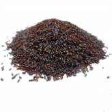 Psyllium Noir - Tisane Plantago Psyllium - Graine Bio - Plantes médicinales en vrac - Tisanes de plantes simples - 1-Psyllium Noir - Tisane Plantago Psyllium - Graine Bio