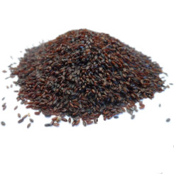 Psyllium noir en vrac