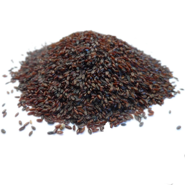 Psyllium Noir Bio - Psyllium afra - Graine en Vrac 100g