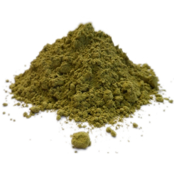 Stevia - Stevia rebaudiana - Bio-Pulver - Heilpflanzenpulver in Großpackungen - 1