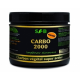 Charbon végétal super activé poudre 100g Carbo 2000 - SFB