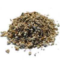 Acore odorant - Tisane Acorus calamus - Racines coupées Bio - Plantes médicinales en vrac - Tisanes de plantes simples - 1-Acore odorant - Tisane Acorus calamus - Racines coupées Bio