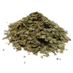 Infusion de Busserole - FC