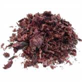 Infusion de Coquelicot - P-Tisane Coquelicot - Pétale
