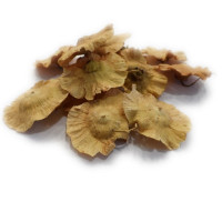 Infusion de Paliure - FrE-Tisane Paliure - Fruit