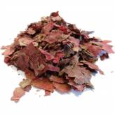 Infusion de Vigne Rouge - FC-Tisane Vigne Rouge