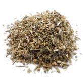 Infusion d'Achillée millefeuille Bio - PC-Tisane Achillée millefeuille Bio - PC