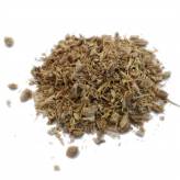 Infusion d'Angélique - RC-Tisane Angélique Bio - Racine coupée