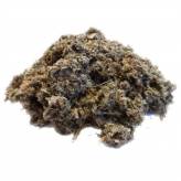 Infusion d'Artichaut Bio-Tisane Artichaut Bio - Plante coupée