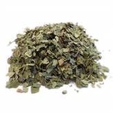 Infusion de Bouleau Bio - FC