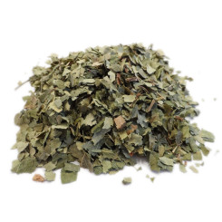 Infusion de Bouleau Bio - FC