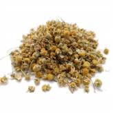 Infusion de Camomille matricaire Bio