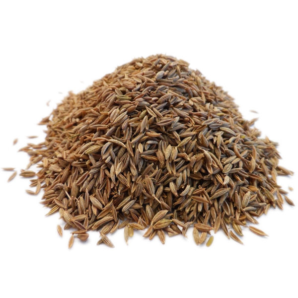 Tout savoir sur le cumin (Cuminum cyminum)