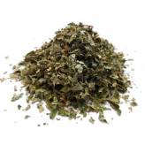 Infusion de Noisetier Bio - FC-Tisane Noisetier Bio - Feuille coupée