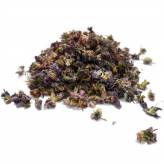 Infusion de Pensée Sauvage Bio - Fleur-Tisane Pensée Sauvage Bio - Fleur