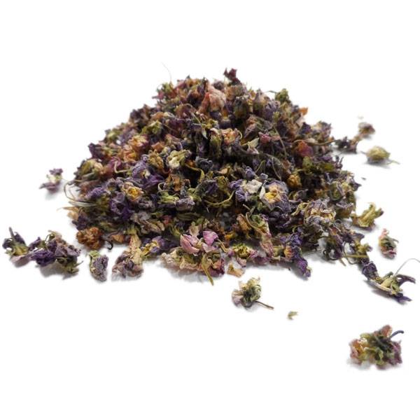 Pensée Sauvage - Viola tricolor - Fleur Bio - 1 - Herboristerie du Valmont