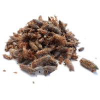 Pin - Tisane Pinus sylvestris - Bourgeons entiers - Plantes médicinales en vrac - Tisanes de plantes simples - 1-Pin - Tisane Pinus sylvestris - Bourgeons entiers