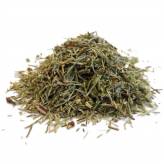 Infusion de Prêle des champs Bio - PC-Tisane Prêle des champs Equisetum Bio - Plante coupée