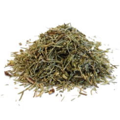 Infusion de Prêle des champs Bio - PC