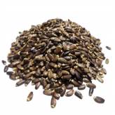 Infusion de Chardon Marie bio - Graine-Tisane Chardon Marie Bio - Graines entières