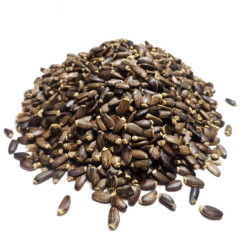 Infusion de Chardon Marie bio - Graine