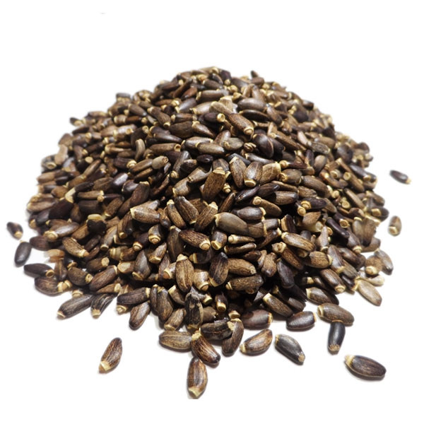 Infusion de Chardon Marie bio - Graine