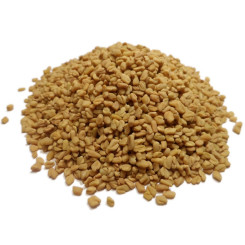 Infusion de Fenugrec Bio