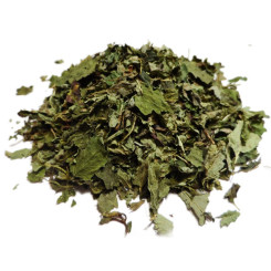 Infusion de Mélisse Bio - FE