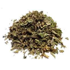 Menthe douce Nanah - Tisane Mentha spicata - Feuilles Bio - Plantes médicinales en vrac - Tisanes de plantes simples - 1
